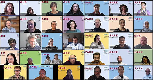 SPARK-BIH Welcomes 12 New Projects To The Program - News & Events ...