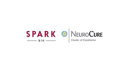 Second Funding Round For NeuroCure/SPARK-BIH Teams - News & Events ...