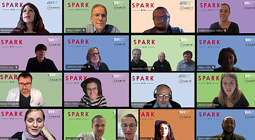 SPARK-BIH Welcomes Ten New Projects To The Program - News & Events ...